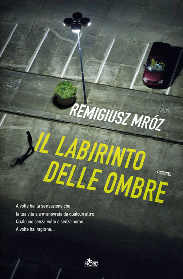 Il labirinto delle ombre